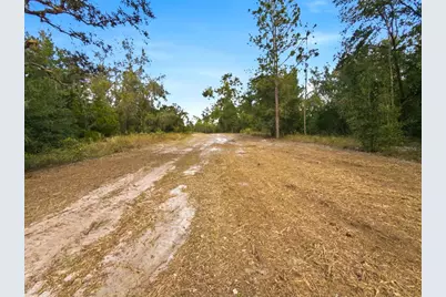 34095 Hyatt Rd, Dade City, FL 33523 - Photo 41