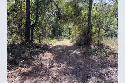 34095 Hyatt Rd, Dade City, FL 33523 - Photo 35