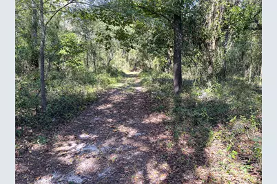 34095 Hyatt Rd, Dade City, FL 33523 - Photo 41