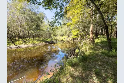 34095 Hyatt Rd, Dade City, FL 33523 - Photo 15