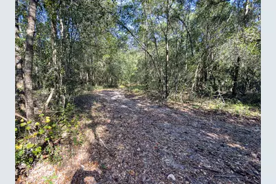 34095 Hyatt Rd, Dade City, FL 33523 - Photo 31