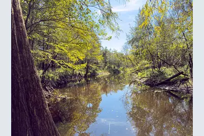 34095 Hyatt Rd, Dade City, FL 33523 - Photo 19