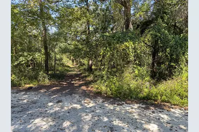34095 Hyatt Rd, Dade City, FL 33523 - Photo 27