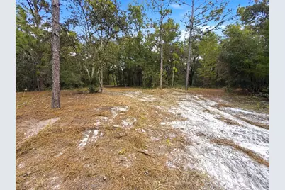 34095 Hyatt Rd, Dade City, FL 33523 - Photo 43