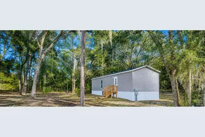 11651 SE 82nd Street, Morriston, FL 32668 - Photo 1