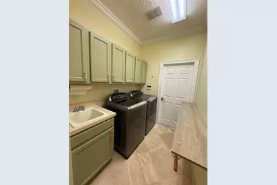 11318 Fenimore Court Court, Windermere, FL 34786 - Photo 65