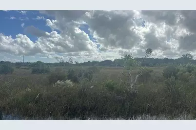 16062 NW 310th Street, Okeechobee, FL 34972 - Photo 3