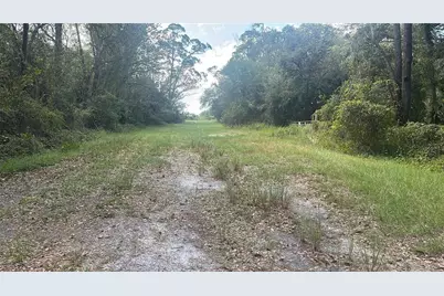 17875 NW 254th Street, Okeechobee, FL 34972 - Photo 5