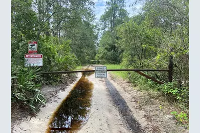 Lake Harney Road, Osteen, FL 32764 - Photo 3