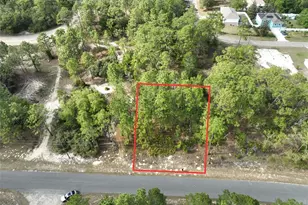 1921 W Riley Dr, Dunnellon, FL 34434 - Photo 1