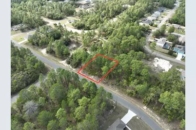 1921 W Riley Drive, Dunnellon, FL 34434 - Photo 3