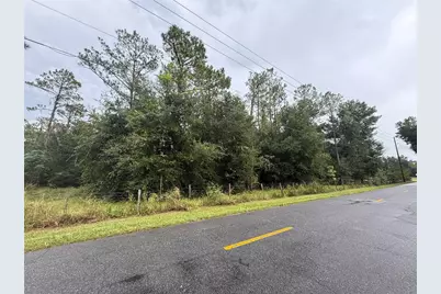 32742 Whitney Road, Leesburg, FL 34748 - Photo 3