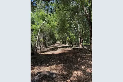 32742 Whitney Road, Leesburg, FL 34748 - Photo 7
