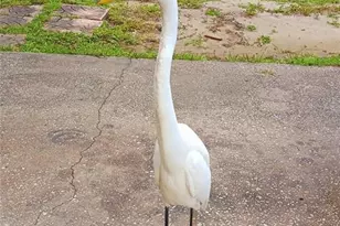 1586 Beacon Dr, Port Charlotte, FL 33952 - Photo 15