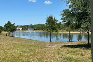 17249 Goldcrest Loop, Clermont, FL 34714 - Photo 23