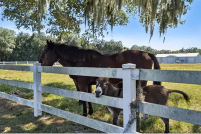 2425 Pine Way, Sanford, FL 32773 - Photo 23