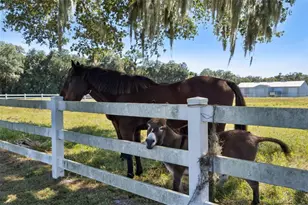 2425 Pine Way, Sanford, FL 32773 - Photo 23