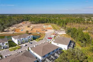 17230 Blessing Dr, Clermont, FL 34714 - Photo 65