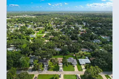 3311 Needle Palm Drive, Edgewater, FL 32141 - Photo 33