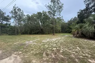 Lewis Ct, Leesburg, FL 34748 - Photo 1