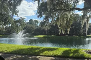 10484 Wiscane Ave, Orlando, FL 32836 - Photo 75