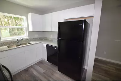 220 N Danvers Street, Eustis, FL 32726 - Photo 3