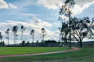 15479 Sugar Citrus Dr, Winter Garden, FL 34787 - Photo 39