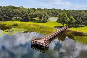 8743 Alegre Cir, Orlando, FL 32836 - Photo 53