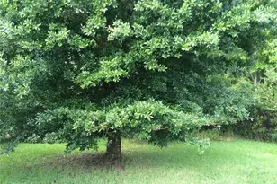 9332 Monterey Bay Dr, Orlando, FL 32832 - Photo 9