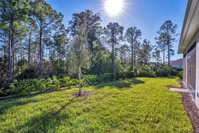 2479 Pine Preserve Court, Saint Cloud, FL 34771 - Photo 37