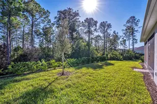 2479 Pine Preserve Ct, Saint Cloud, FL 34771 - Photo 37