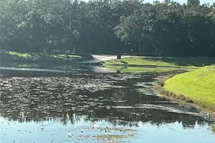 715 Sugar Bay Way, Lake Mary, FL 32746 - Photo 41