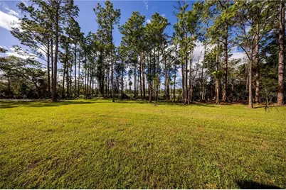 310 Mitnik Drive, Deltona, FL 32738 - Photo 45