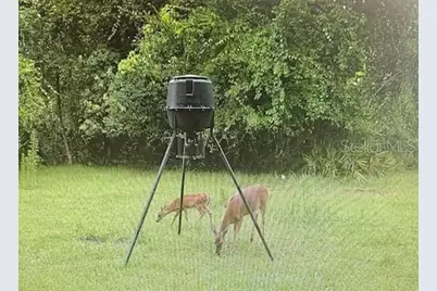 620 Willow Pond Lane, Osteen, FL 32764 - Photo 91