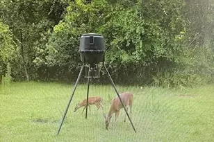 620 Willow Pond Ln, Osteen, FL 32764 - Photo 91