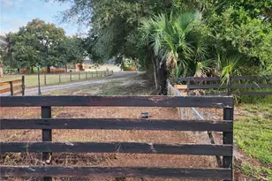 24247 Wolf Branch Rd, Sorrento, FL 32776 - Photo 67