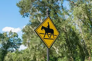 35603 Seneca Reserve Dr, Eustis, FL 32736 - Photo 63