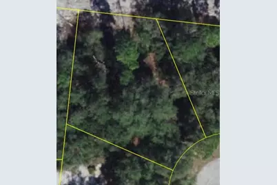 1206 Vernon Lane, Kissimmee, FL 34759 - Photo 3