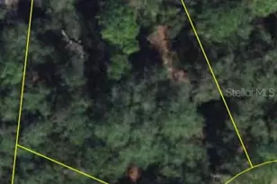 1206 Vernon Ln, Kissimmee, FL 34759 - Photo 3