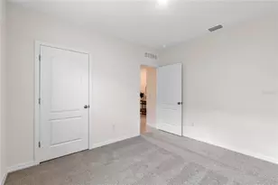 1229 Alstonia Ln, Mount Dora, FL 32757 - Photo 35