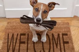 31530 Wild Grape Ln, Brooksville, FL 34602 - Photo 19