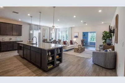 31530 Wild Grape Lane, Brooksville, FL 34602 - Photo 5