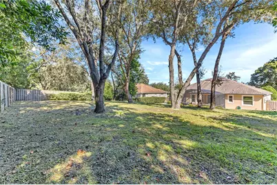 657 Mount Stirling Avenue, Apopka, FL 32712 - Photo 41