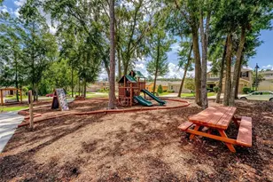 2862 American Elm Cove, Ocoee, FL 34761 - Photo 61