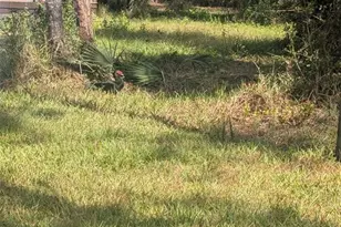 32245 Highland Lakes Rd, Deland, FL 32720 - Photo 19