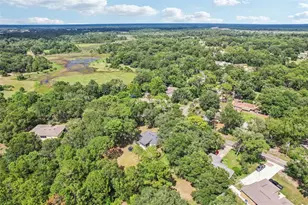 31154 Lochmore Cir, Sorrento, FL 32776 - Photo 31