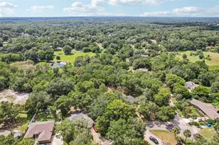 31154 Lochmore Cir, Sorrento, FL 32776 - Photo 33