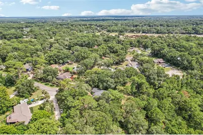 31154 Lochmore Circle, Sorrento, FL 32776 - Photo 29