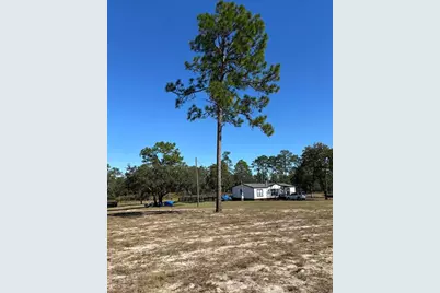 12991 SE 77th Street, Morriston, FL 32668 - Photo 39