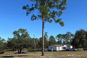 12991 SE 77 St, Morriston, FL 32668 - Photo 39